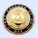 Picture of Mercy College of Ohio MSN nursing Pin